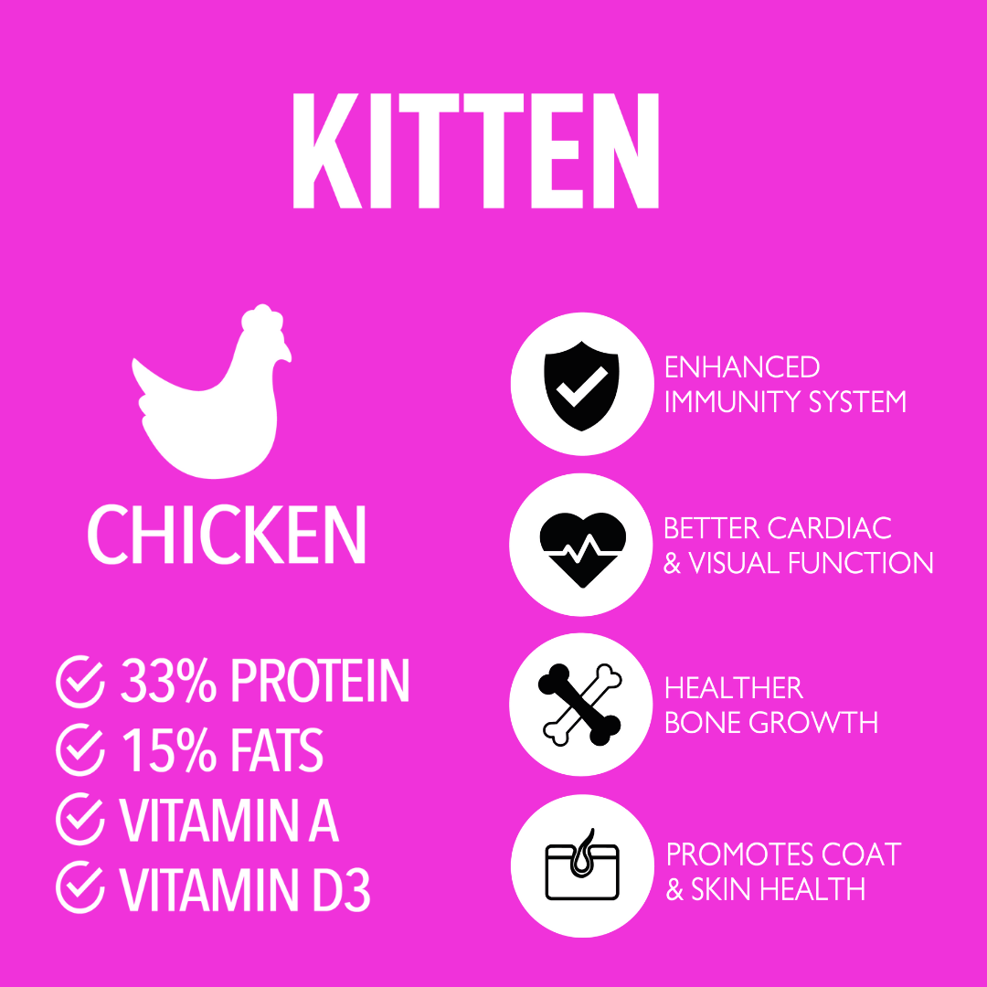 KITTEN 1KG