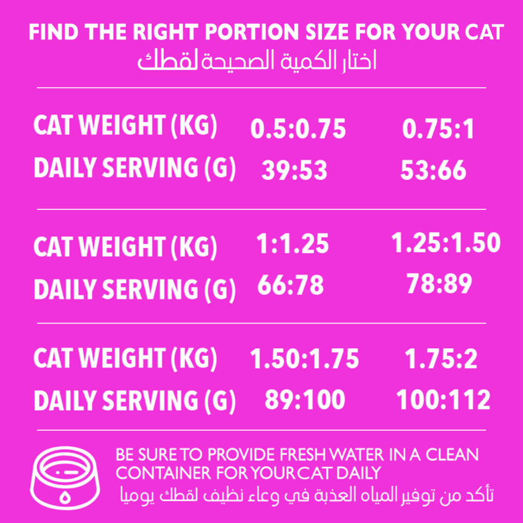 KITTEN 1KG