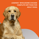 ADULT DOGS 15KG
