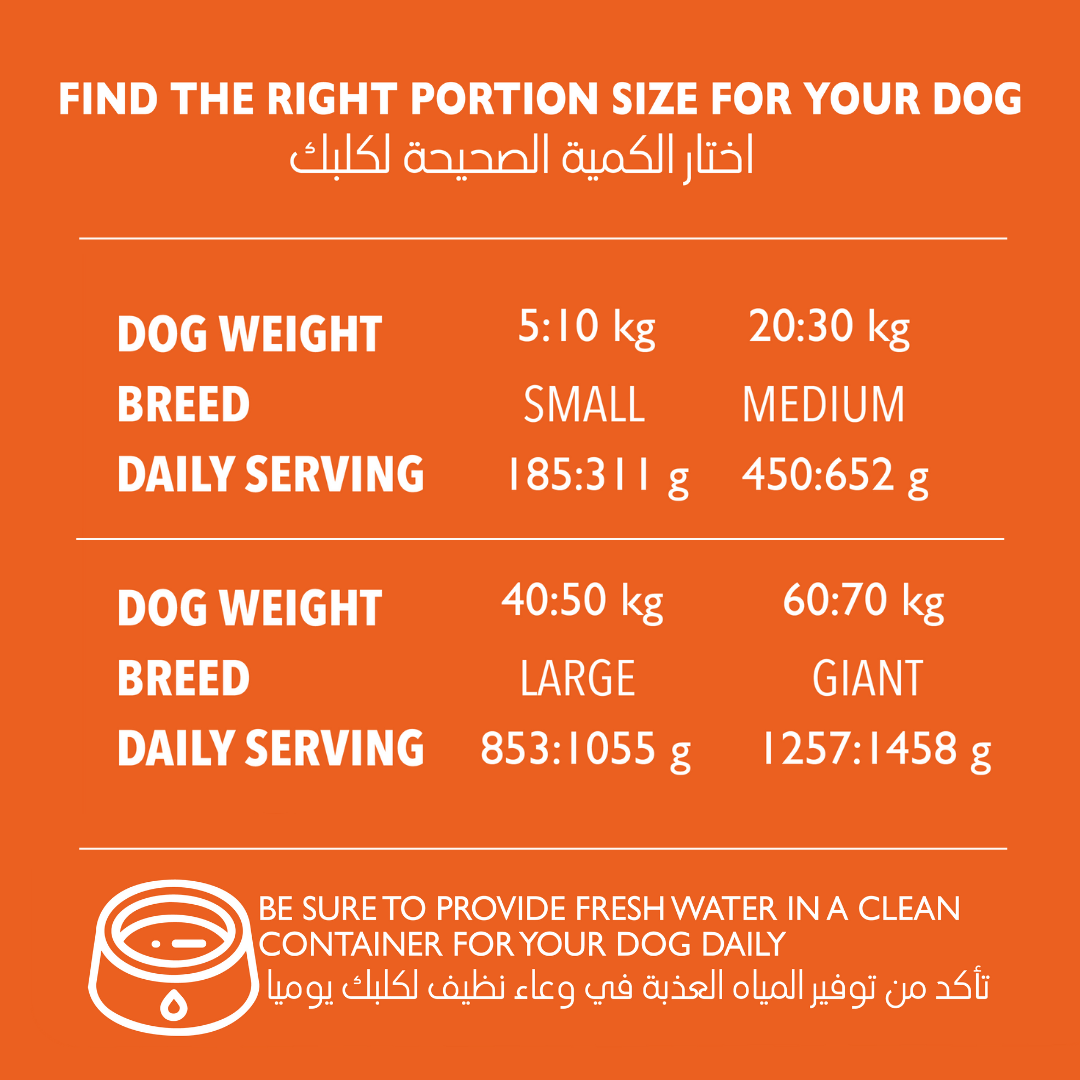 ADULT DOGS 15KG