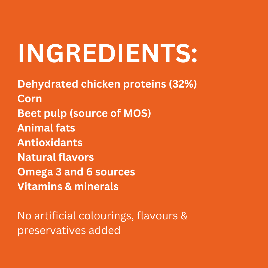 ADULT DOGS 15KG