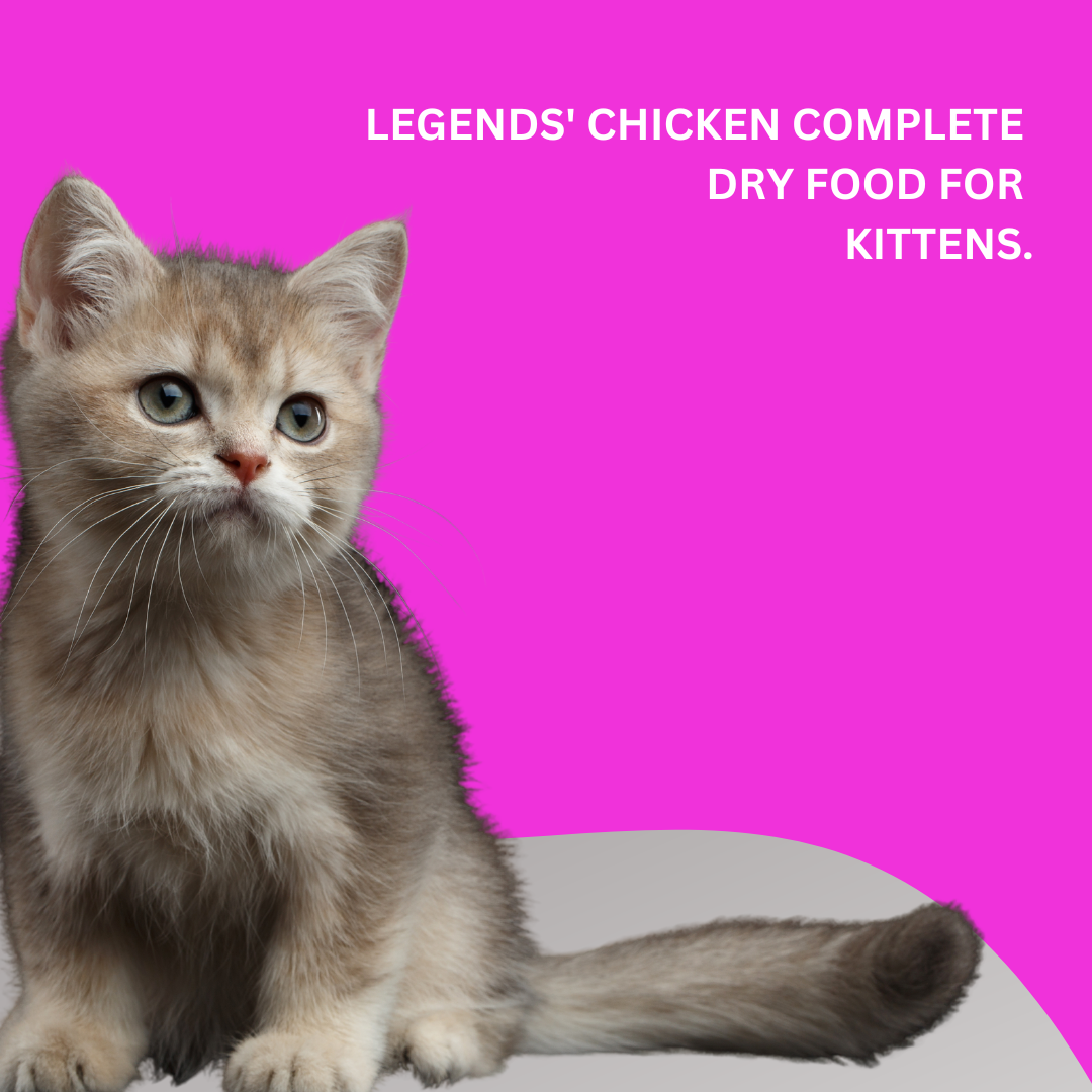 KITTEN 3KG
