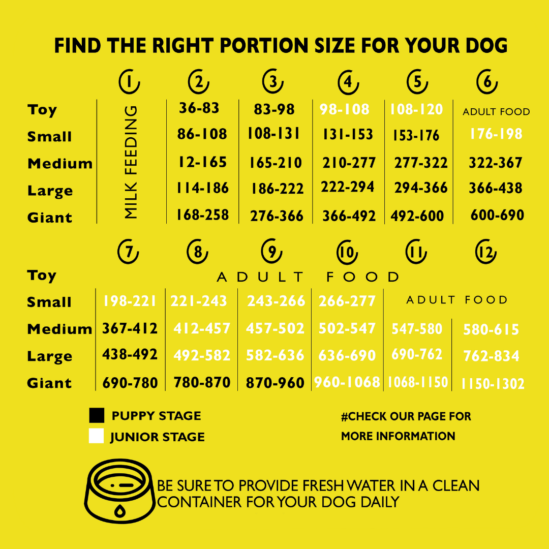 PUPPIES & JUNIOR 5KG