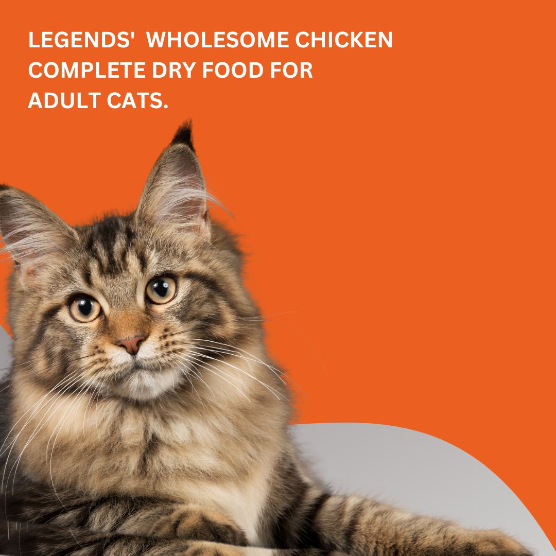ADULT CATS 10KG