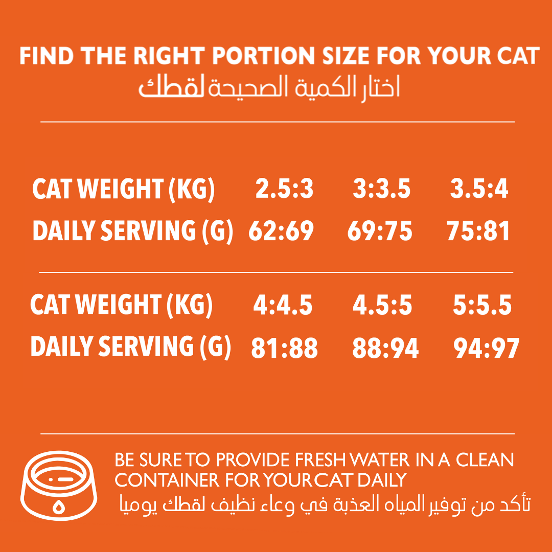 ADULT CATS 10KG