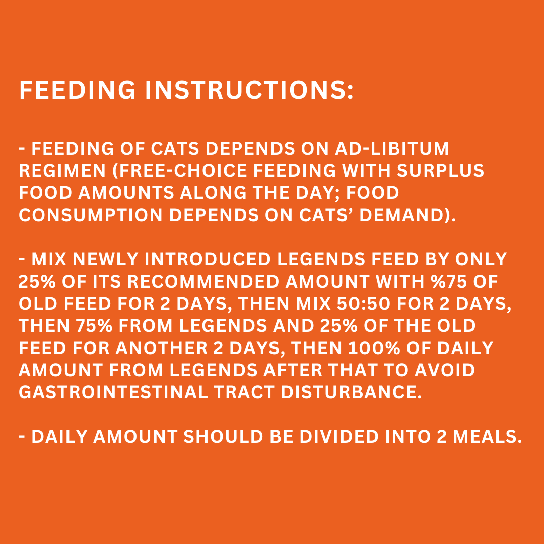 Free choice feeding sales cats